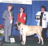 Erika - 1st - MCOA Specialty - 2002.jpg (54987 bytes)