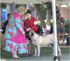 Erika - Junior Showmanship 3.jpg (22851 bytes)