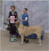 Erika - Working Dog Show - Springfield - Mar 2001.JPG (29717 bytes)