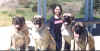Erika and Dogs - Rest stop on way to Portland.jpg (98223 bytes)