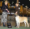Essence-BOS Sammamish KC-20080112.jpg (97327 bytes)