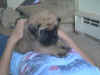 Image005.jpg (12073 bytes)