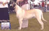 Legend - BOB Aug 2003.jpg (91931 bytes)