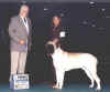 Legend - BOW Hamburg 2003.jpg (36752 bytes)