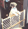 Legend - Can I Come Out and Play.jpg (68598 bytes)