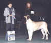 Legend - Clarence 2003 - BOW.jpg (42535 bytes)