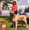 Legend - Intl Show - Group 1 - May 2004 (1).jpg (59501 bytes)