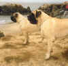 Legend and Rainbow - Beach Fun 2.jpg (42185 bytes)