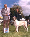 Marcy - First Major - Best of Winners.jpg (54249 bytes)
