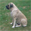 Marcy - Sep 15, 2002.JPG (30518 bytes)