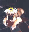 Marcy Puppy with Hat.jpg (36795 bytes)