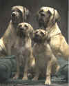 Marcy, Zeke, Whisper, Lakota.JPG (30945 bytes)