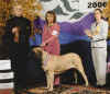 OSO - 2nd Futurity 15-19 Mnths - 2006 MCOA.jpg (78665 bytes)