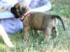 Pink girl 3 (was white).JPG (138208 bytes)