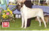 Rainbow - Best Puppy REMC Oct 2003.JPG (33775 bytes)