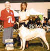 Rainbow - WB - BOS - Coos KC - July 4 2004.jpg (51909 bytes)