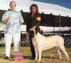 Rainbow - WB - BOS - Tualatin KC - July 12 2004.jpg (49720 bytes)