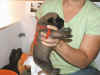Red boy 2wks 5.JPG (113690 bytes)