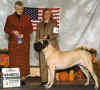 Sophie - WB - New Champ - Nov 14, 2004.jpg (49279 bytes)