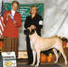 Sophie - WB - Nov 13, 2004.jpg (46199 bytes)