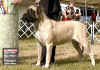 SparkleBOB - 1 - 20050816.jpg (84632 bytes)