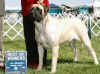 Sparkle - July 2005.jpg (87065 bytes)