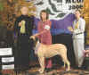 Sun Shining on Willow - 3rd Futurity - 2006 MCOA.jpg (79051 bytes)