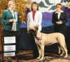 Sun Shining on Willow - 4th Sweeps - 2006 MCOA.jpg (90103 bytes)