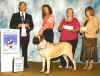 Vision-1st Futurity 9-12Month Bitches.jpg (63350 bytes)