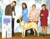 Vision-3rd BredByExhibitor.jpg (65426 bytes)