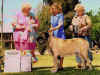 Zeke_-_1st_Vet_Dog_8-10_Years_-_Small.jpg (42331 bytes)