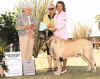 Zeke - 2nd Vet Dog Sweeps 8-10 Years - Small.jpg (43149 bytes)