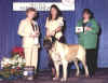 Zeke - 4th Place Vets - 2002 MCOA National.jpg (73590 bytes)
