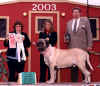 Zeke - Best in Vet Sweeps.jpg (62235 bytes)