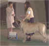 Zeke - Best of Opp Sex - Hamburg 2002.JPG (11866 bytes)