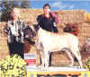 Zeke - Winners Dog - Wine Country Show 2001.JPG (97976 bytes)